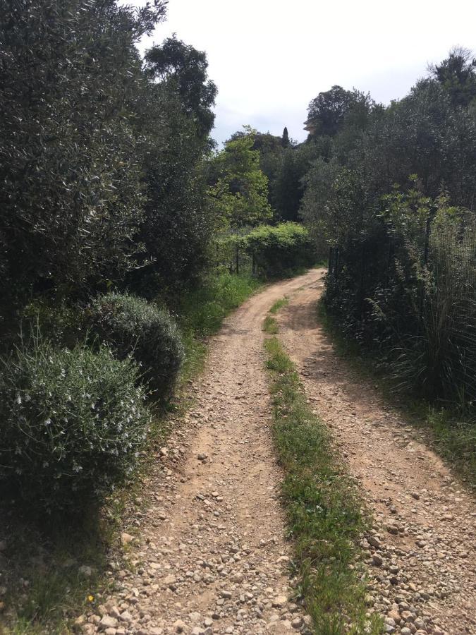 Cottage Pura Vigna Immerso Nella Natura Vicino Al Mare Porto Santo Stefano  Extérieur photo