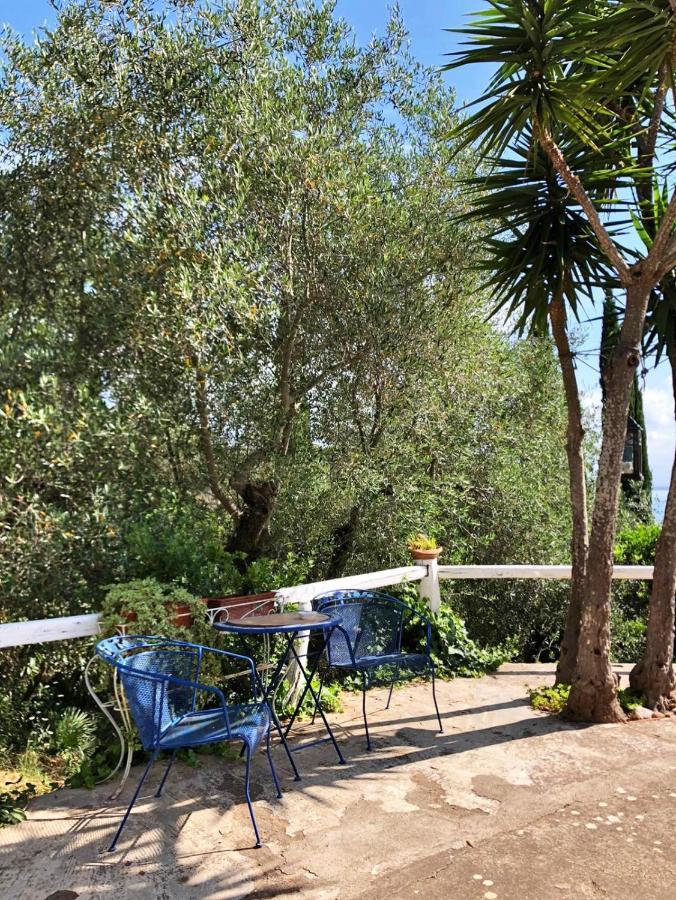 Cottage Pura Vigna Immerso Nella Natura Vicino Al Mare Porto Santo Stefano  Extérieur photo