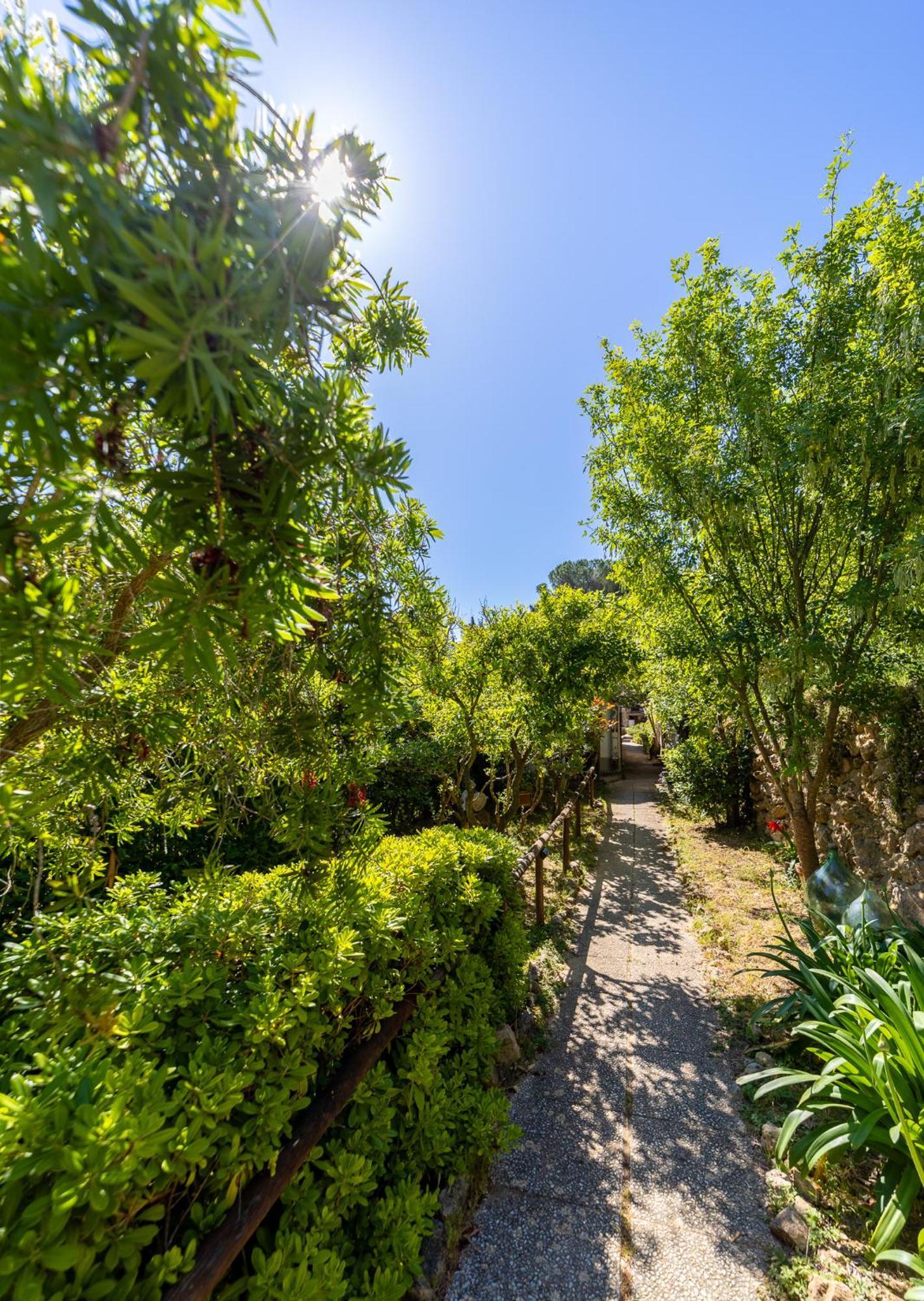 Cottage Pura Vigna Immerso Nella Natura Vicino Al Mare Porto Santo Stefano  Extérieur photo