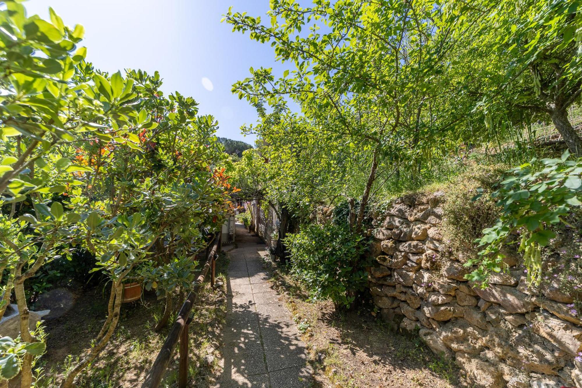 Cottage Pura Vigna Immerso Nella Natura Vicino Al Mare Porto Santo Stefano  Extérieur photo