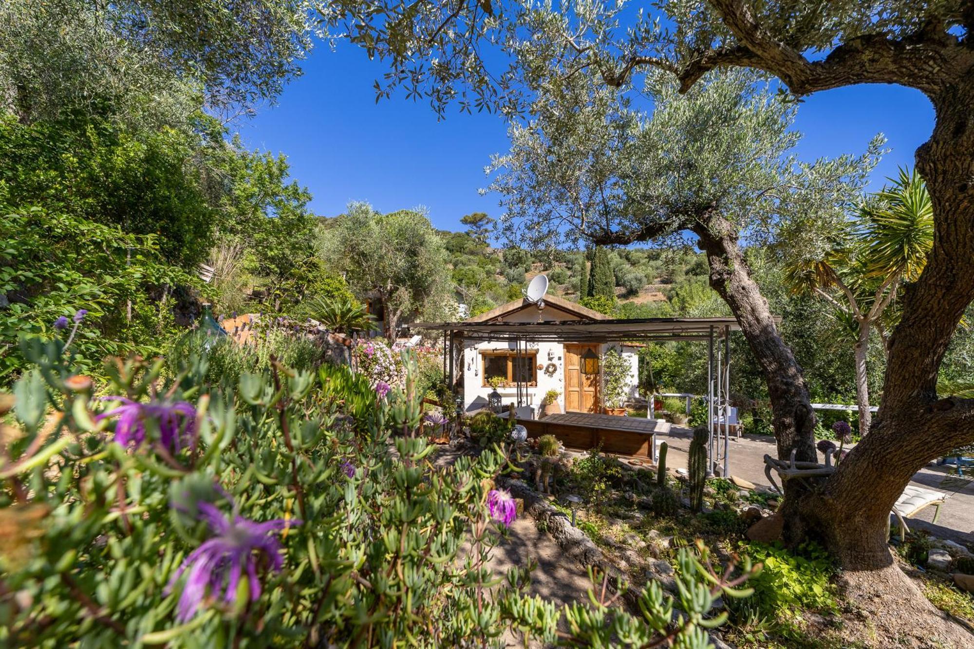 Cottage Pura Vigna Immerso Nella Natura Vicino Al Mare Porto Santo Stefano  Extérieur photo