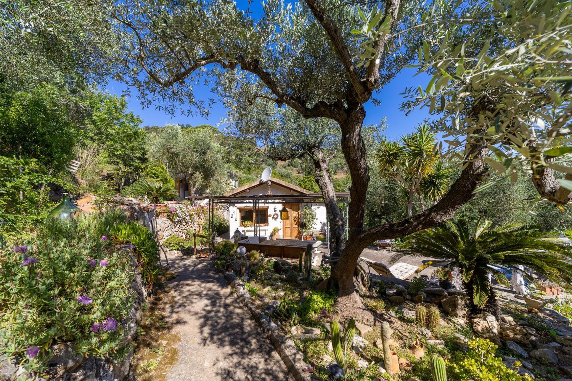 Cottage Pura Vigna Immerso Nella Natura Vicino Al Mare Porto Santo Stefano  Extérieur photo